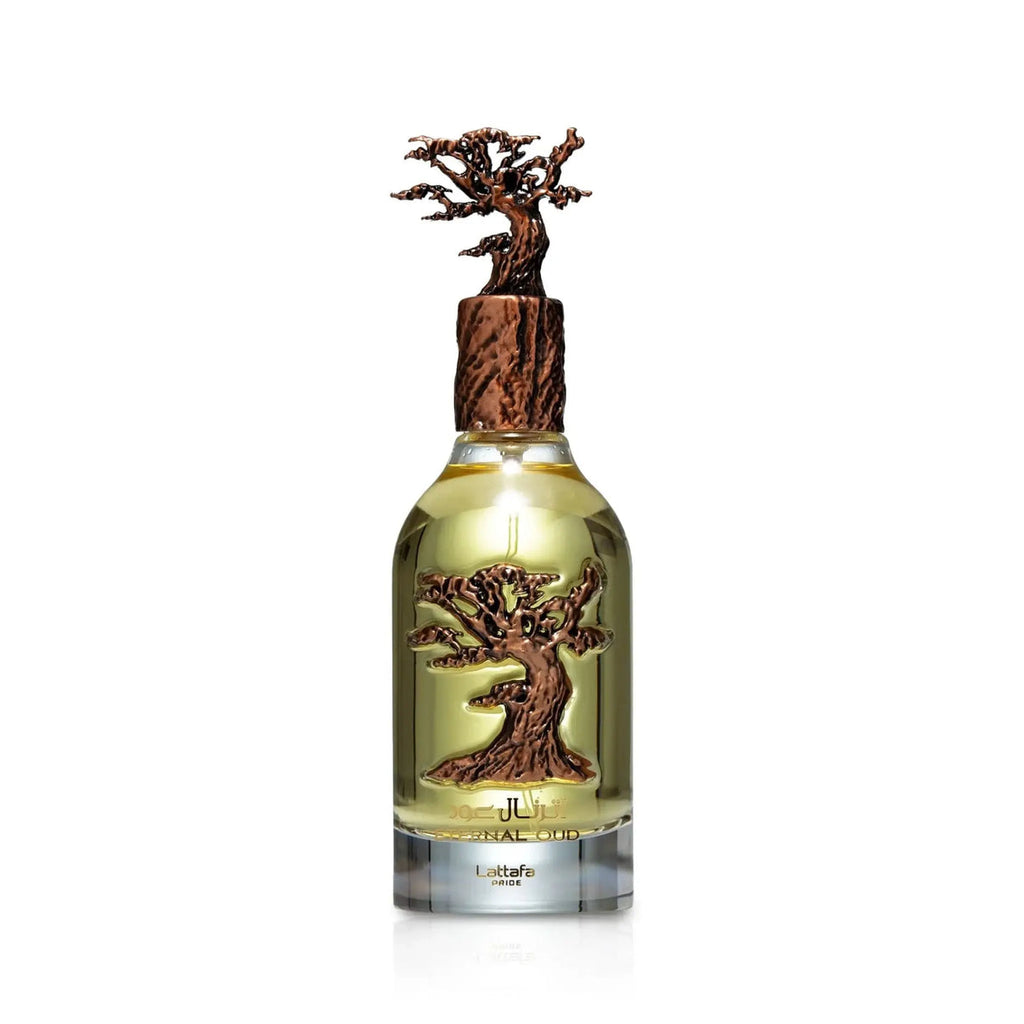 Lattafa Eternal Oud Perfume 100ml EDP – view 2