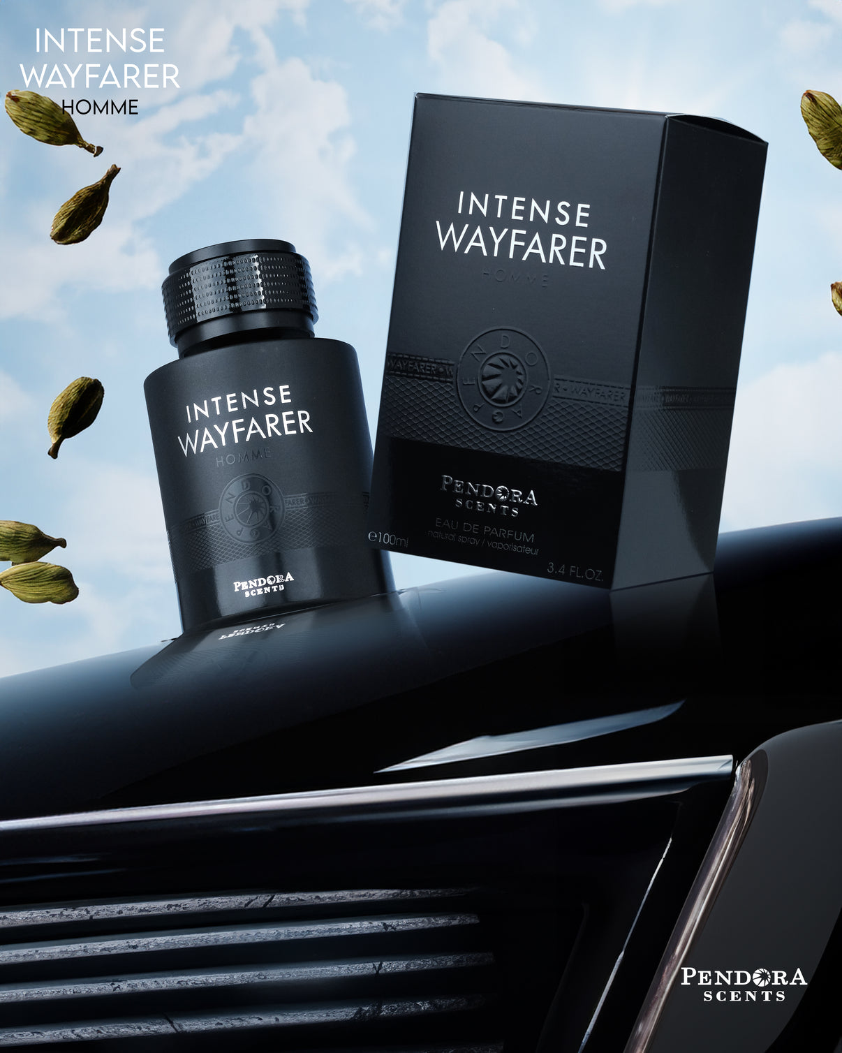 PARIS CORNER NTENSE WAYFARER