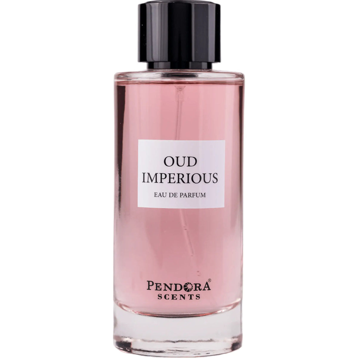 Pendora Scents Oud Imperious Perfume 100ml EDP – view 4