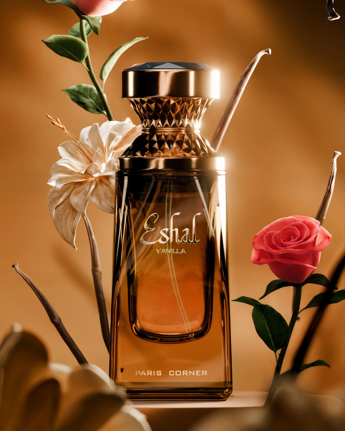 PARIS CORNER ESHAL VANILLA